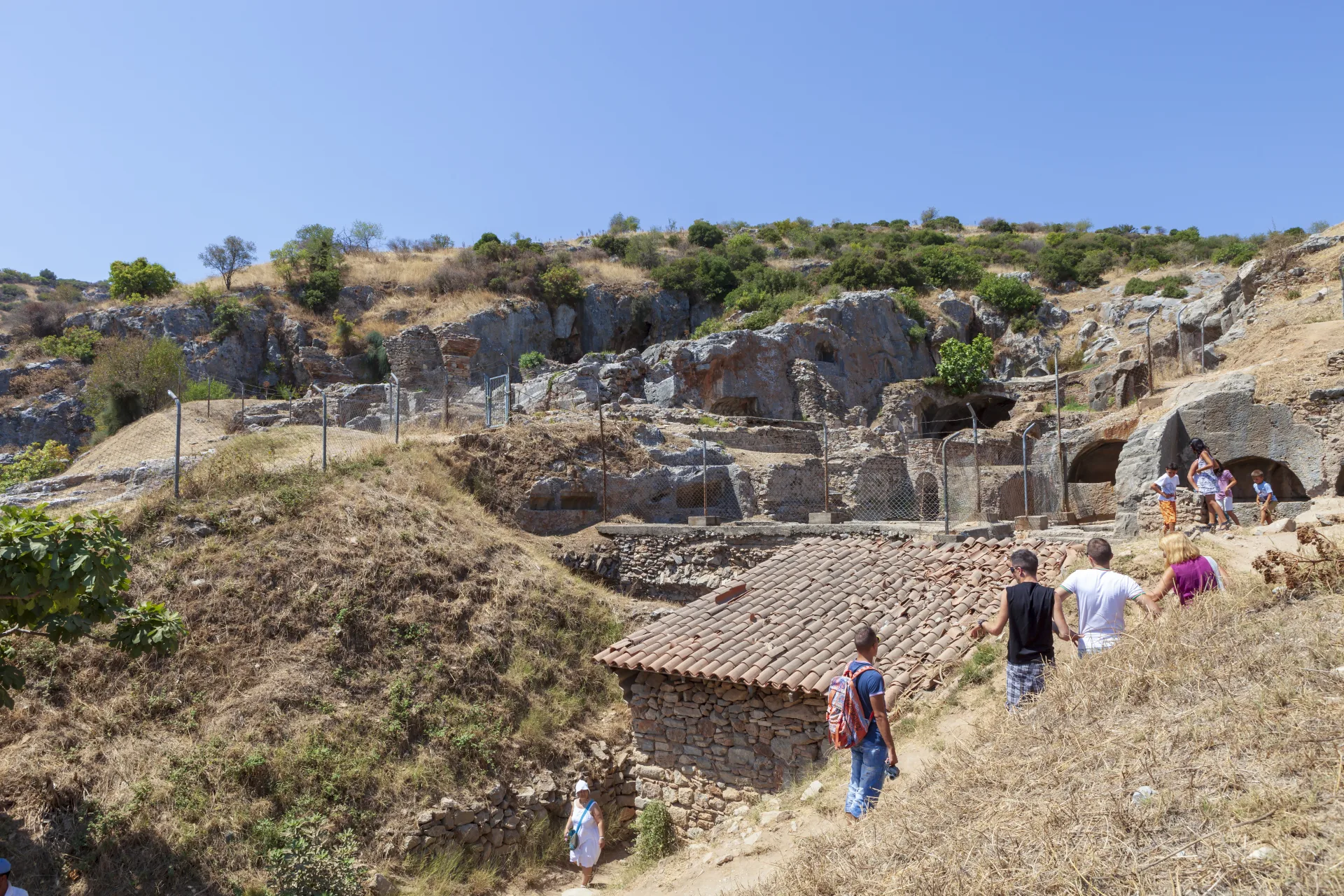 seven sleepers